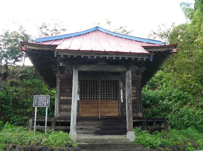 �����t��