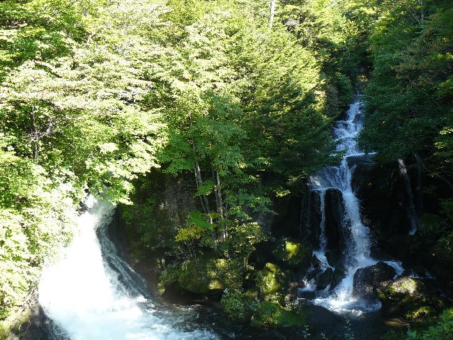 �����̑�