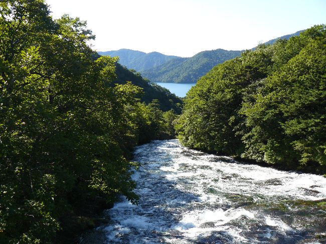 �����̑�