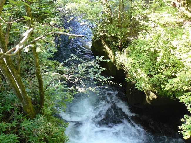 �����̑�