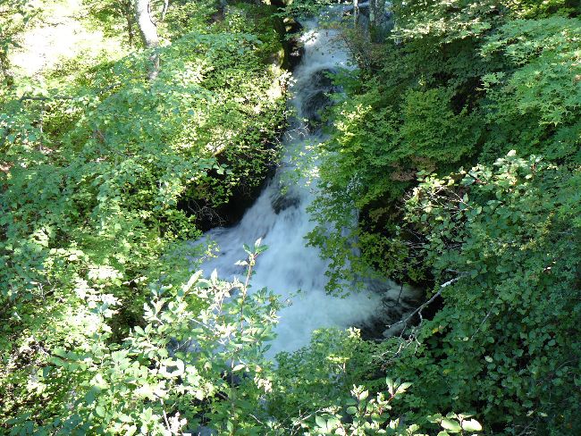 �����̑�