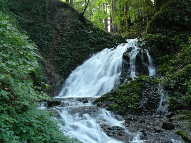 �����̑�