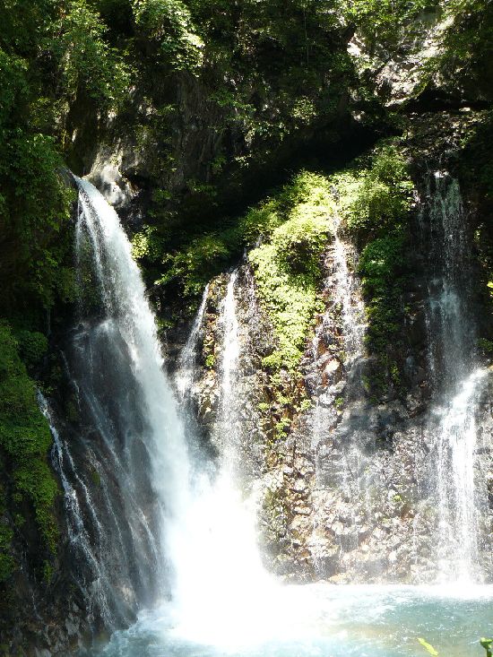 �����̑�