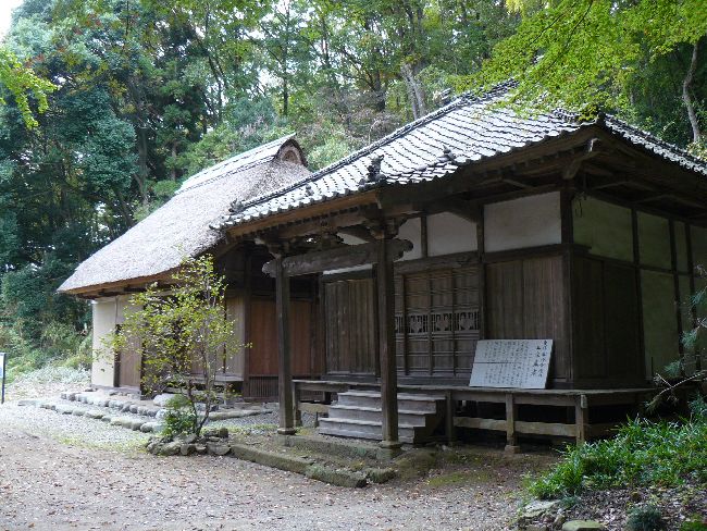 �O�J����