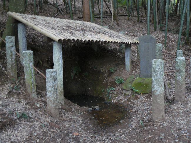 �O�J����