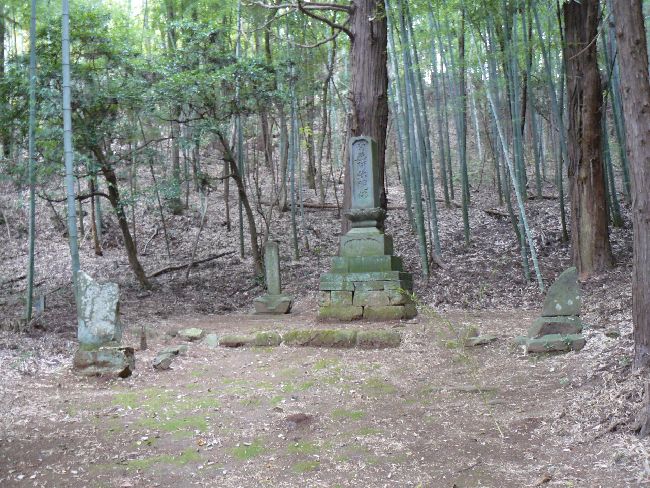 �O�J����