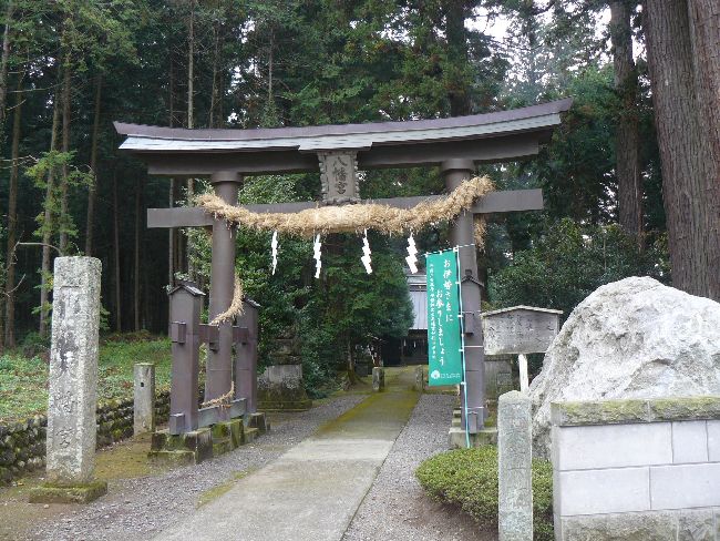 ���������{