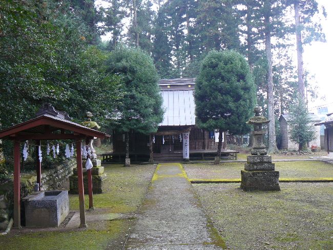 ���������{