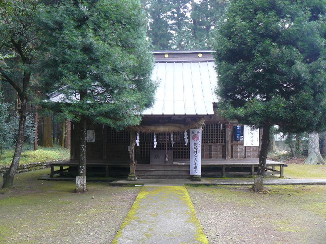 ���������{