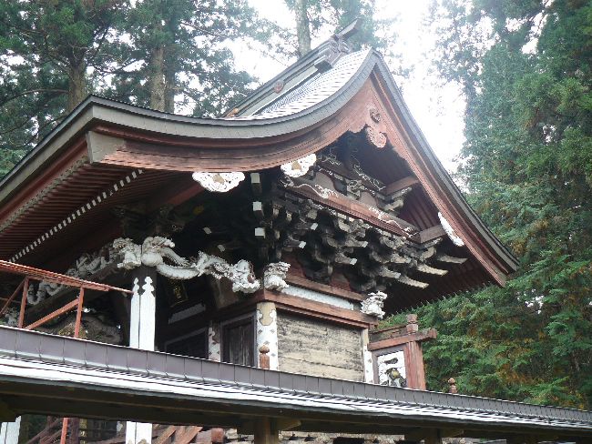 ���������{