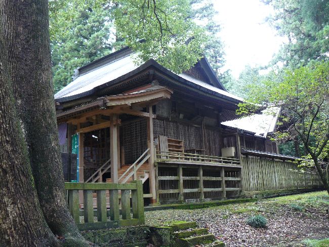 ��c���_��