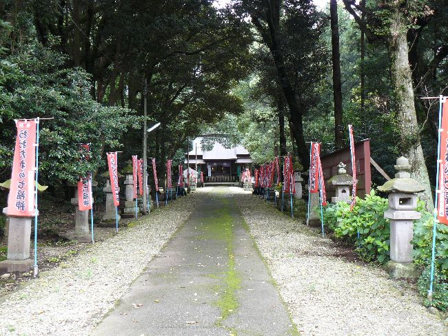 ��c���_��