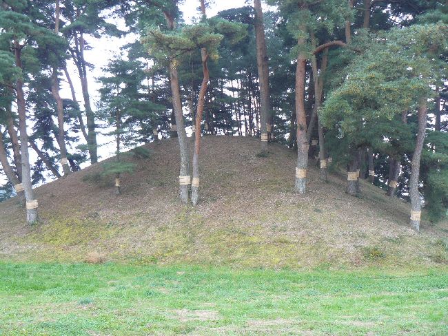 �����ˌÕ�