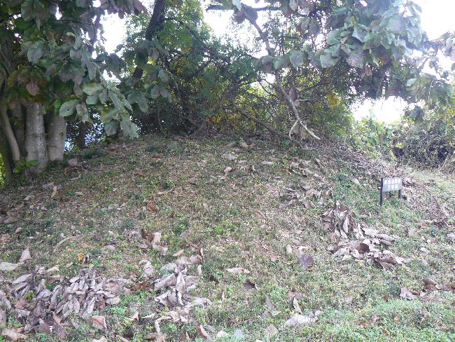 �����ˌÕ�