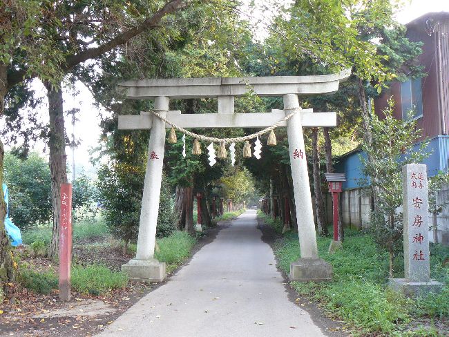 ���[�_��