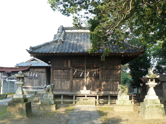 �����_��