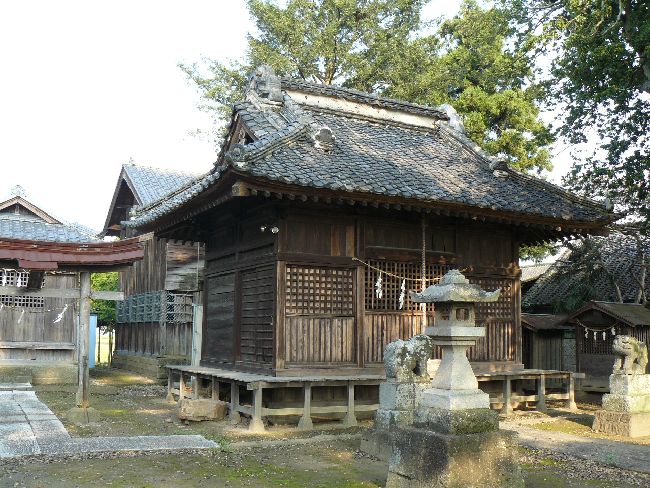 �����_��