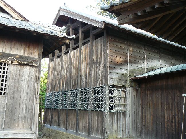 �����_��