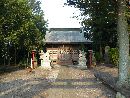 胸形神社参道石畳みから見た拝殿と大木