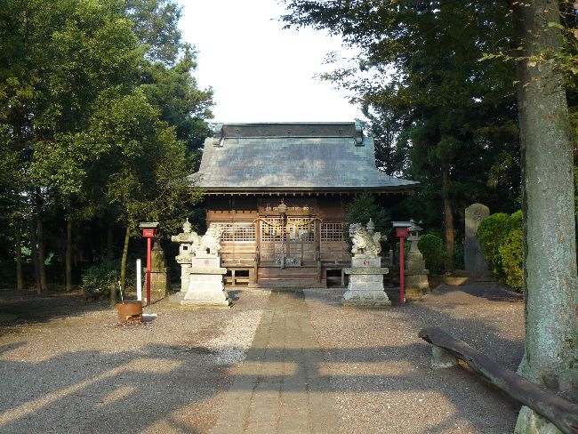 ���`�_��