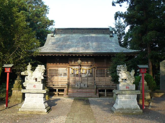 ���`�_��