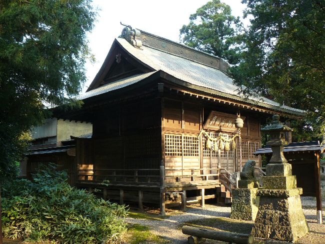 ���`�_��