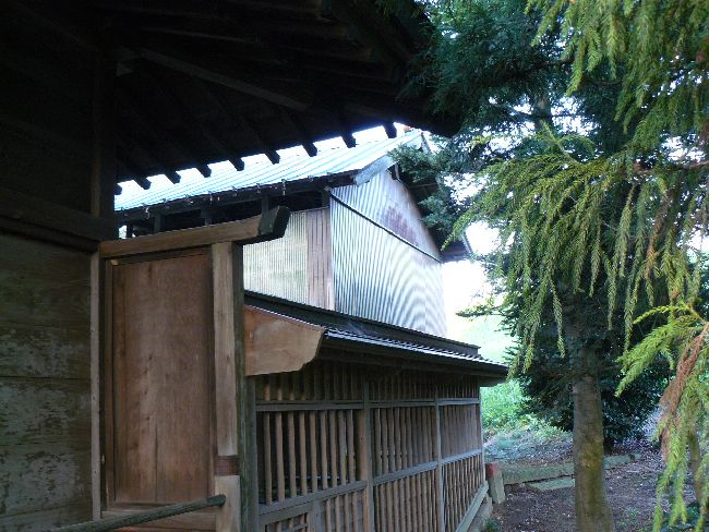 ���`�_��