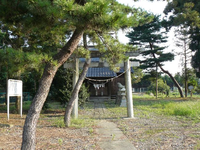 �����_��