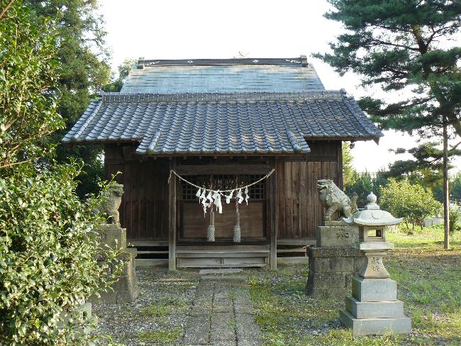 �����_��