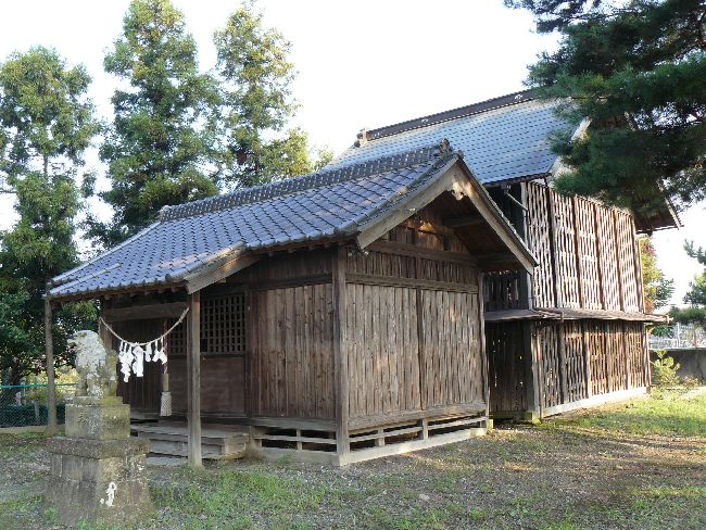 �����_��