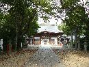 須賀神社参道石畳みから見た随身門と並木