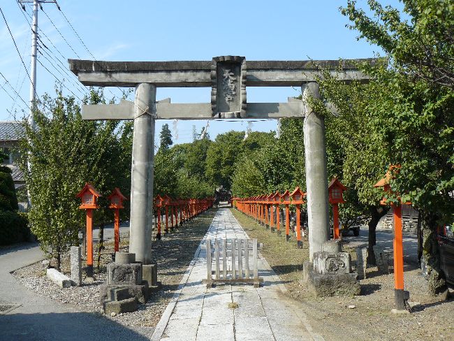 �����X�V���{