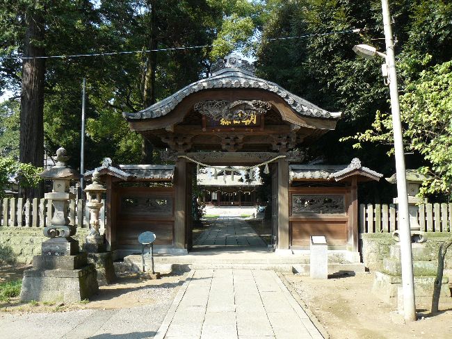 �����X�V���{