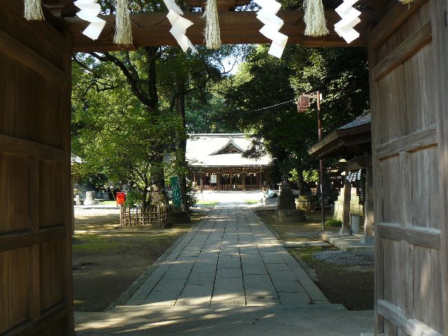 �����X�V���{