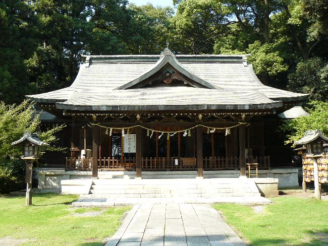 �����X�V���{