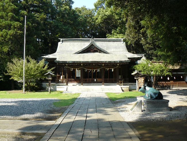 �����X�V���{