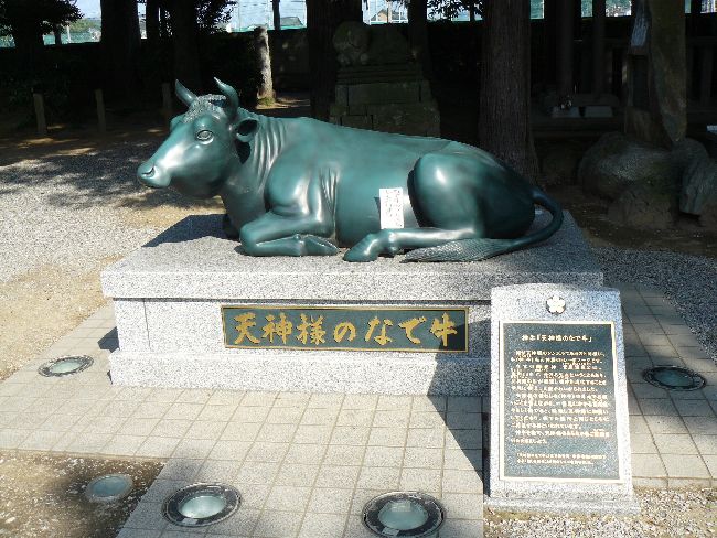 �����X�V���{