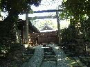 唐沢山神社石垣越に見える鳥居と社殿