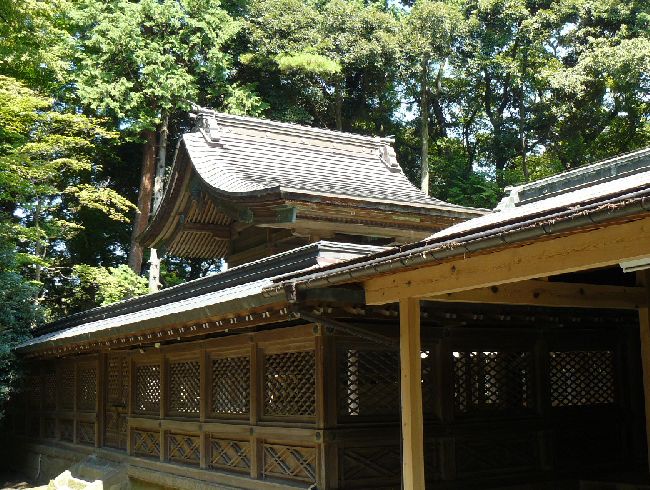 ����R�_��