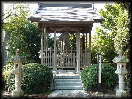 �c���������