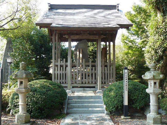 �c���������