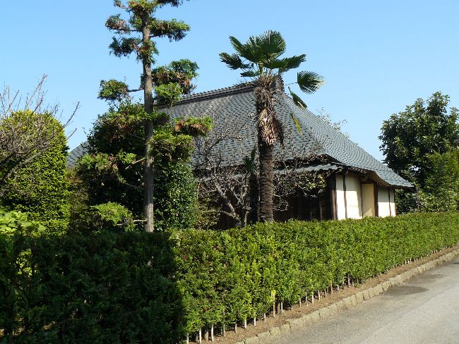 �c����������