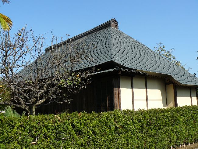 �c����������