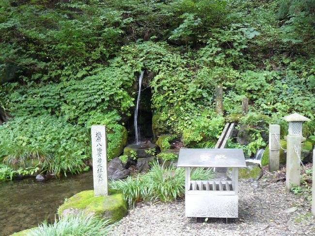 ���������{