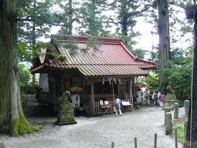 ���������{