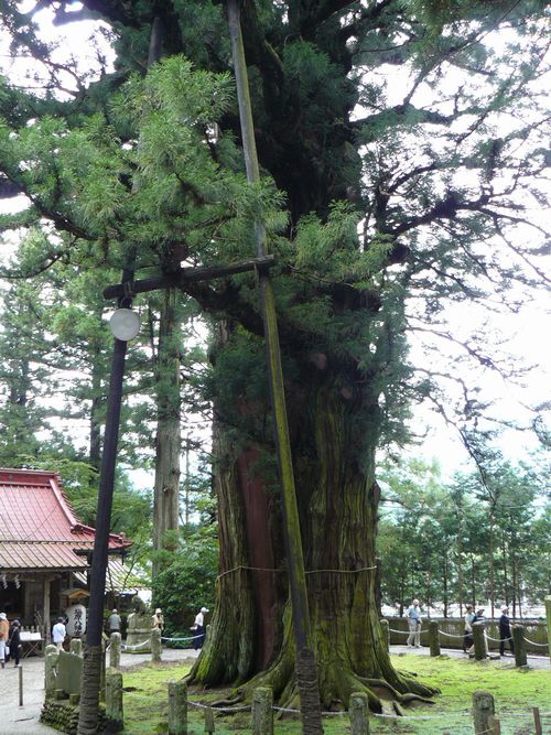 ���������{