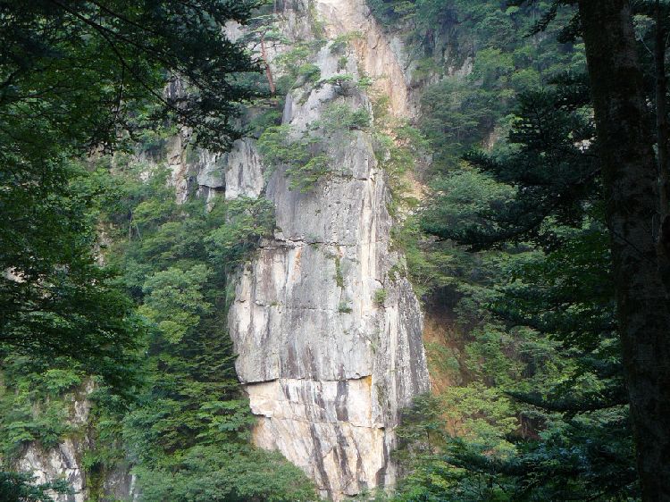 �S�{�쉷��E����X�i�Ȗ،������s�j