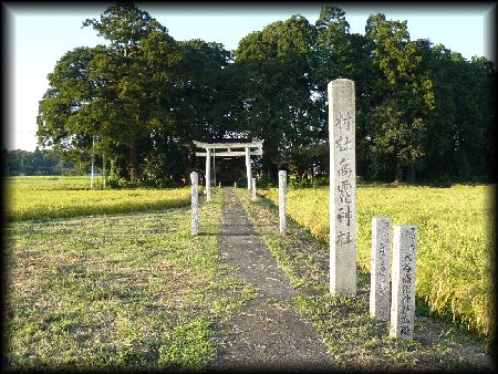 �����_��