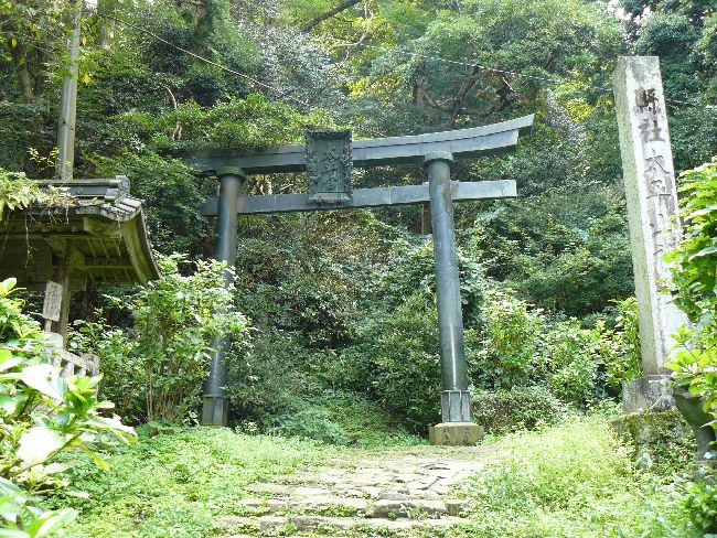 �����R�_��