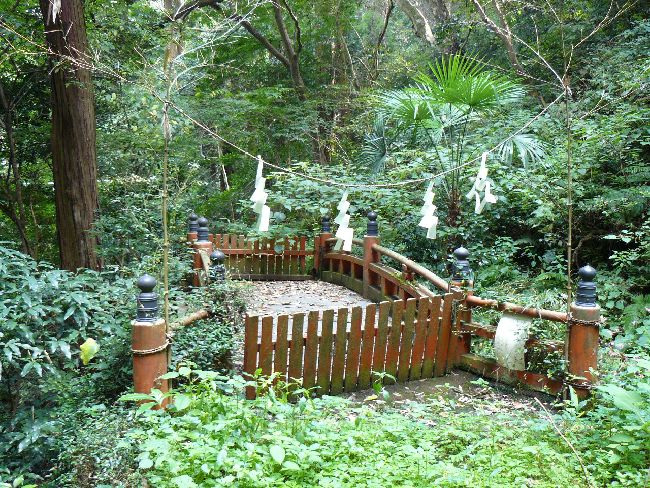 �����R�_��